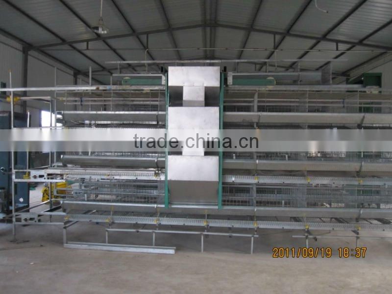 H type poultry cage-automatic poultry farming equipment