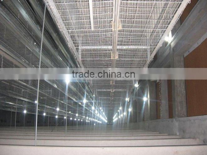 automatic chicken cage --poultry mesh cage