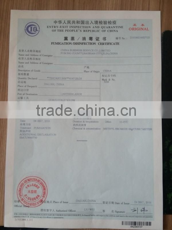 natural moss home decoration material