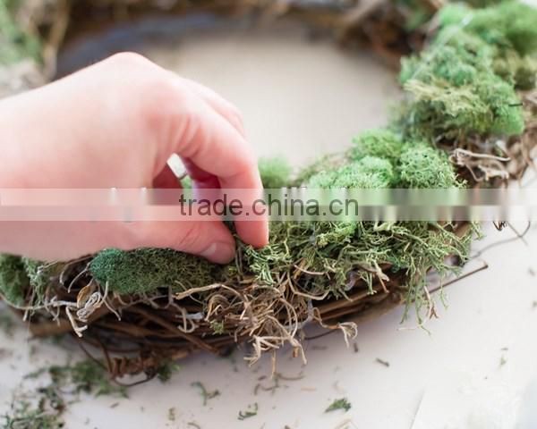 Ribbon soften natural art moss from Chinese forest and mountain