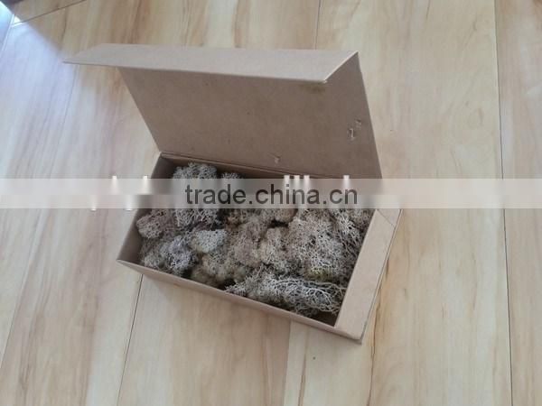 Ribbon soften natural art moss from Chinese forest and mountain