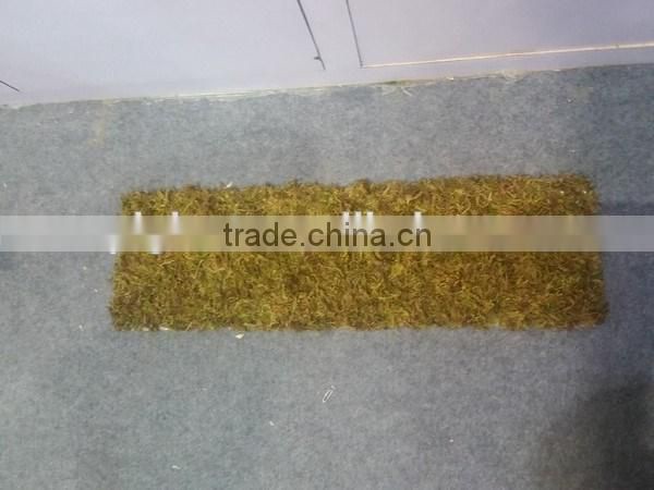 Ribbon soften natural art moss from Chinese forest and mountain