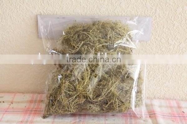 Decoration natural reindeer moss for Christmas