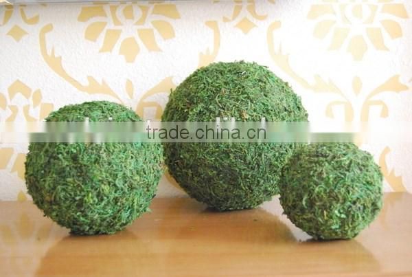 Ribbon soften natural art moss from Chinese forest and mountain