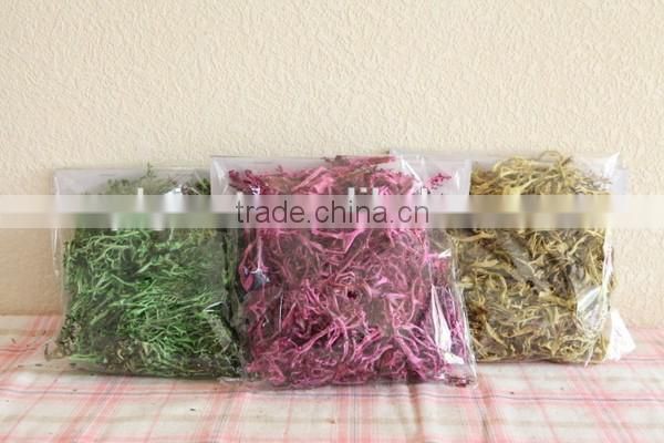 American most hot selling decorative floral natural moss.