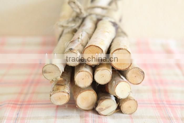 Natural drying decorative brich log brich slice