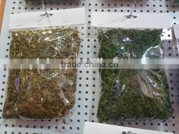 American most hot selling decorative floral natural moss.