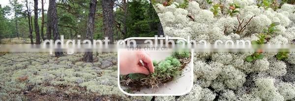 home decor christmas decor artificial flowers reindeer moss