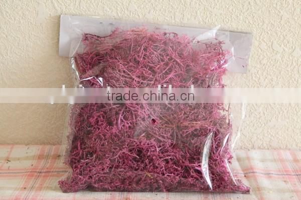 Decoration natural reindeer moss for Christmas