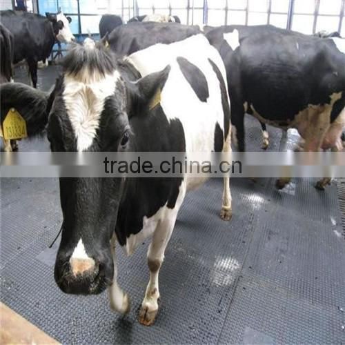 high hardness and quality manufacture Horse/Cow Eea Mat