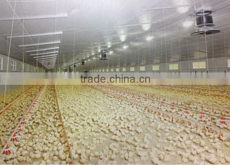 Professional automatic cheap farm equipment for chickens
