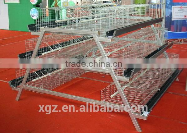 China Professional High Quality Layer Egg Chicken House