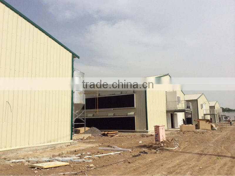 layer egg chicken cage/poultry farm house design