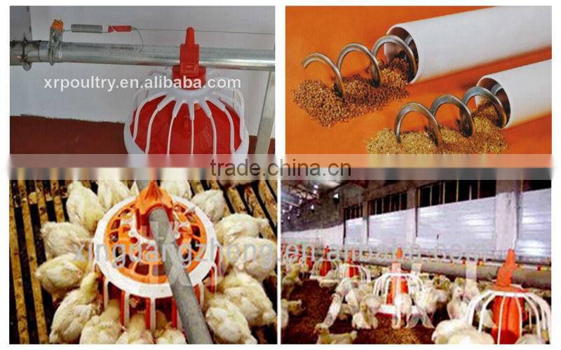 Professional automatic cheap farm equipment for chickens