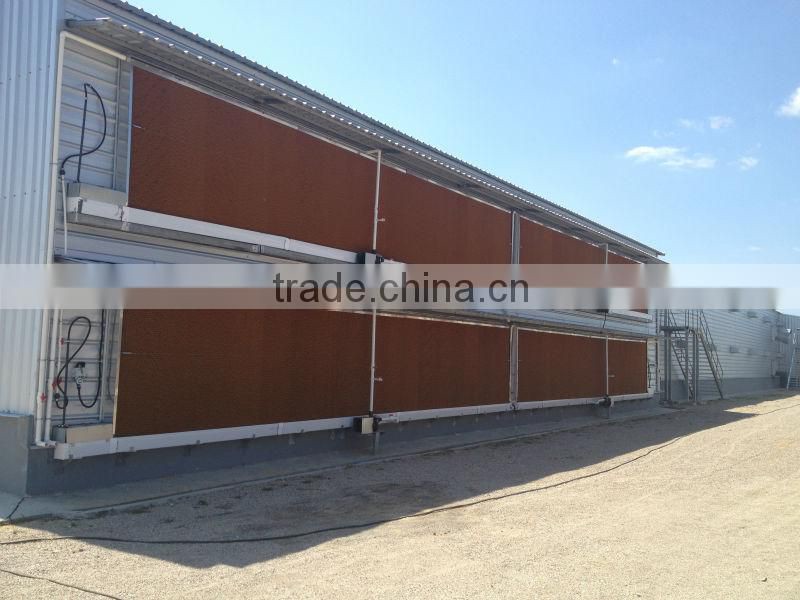 Professional automatic cheap farm equipment for chickens