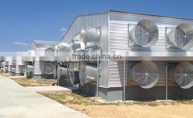 steel structure chicken house