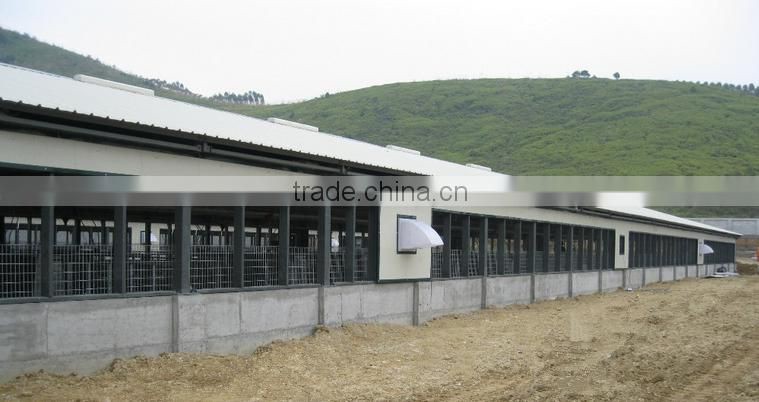 QDXR-4A-4-128T plan A type automatic chicken layer egg collecting system