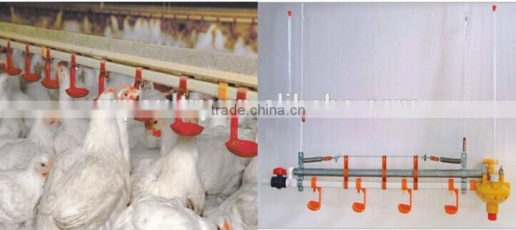 Xinri design automatic poultry farming equmipment for sale