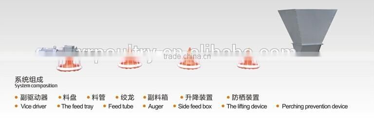 Professional automatic cheap farm equipment for chickens