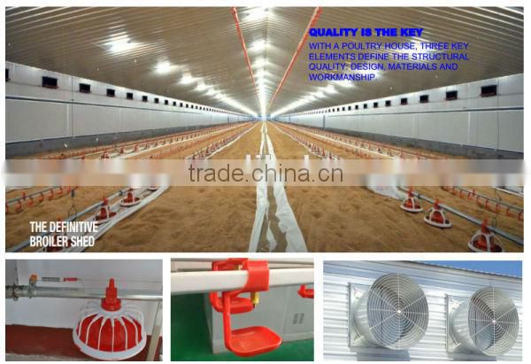 China Professional High Quality Layer Egg Chicken House