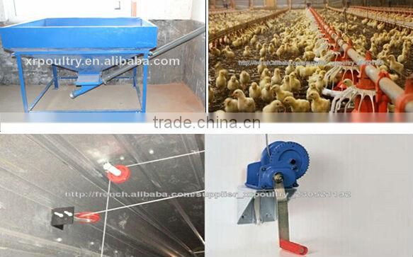 Xinri design automatic poultry farming equmipment for sale