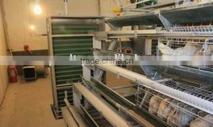 CHICKEN CAGES A TYPE RAISING EQUIPEMENT