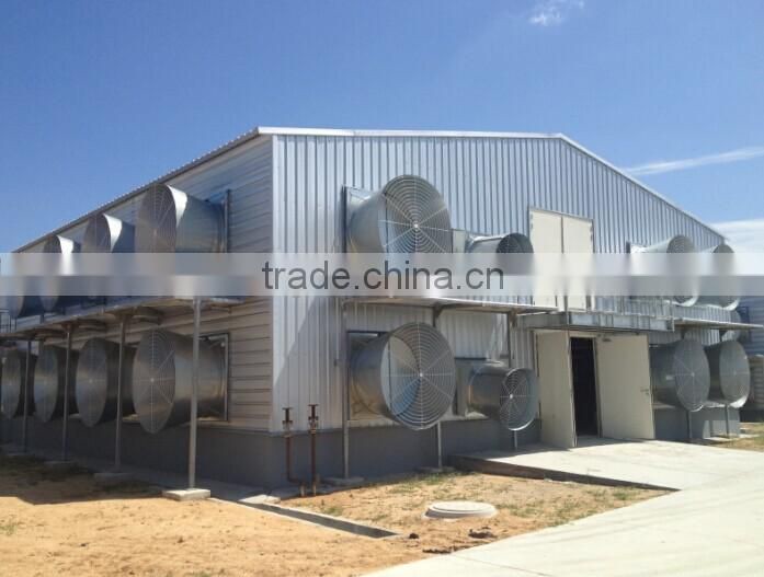 Automatic broiler poultry farm equipment for sale