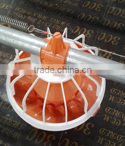 steel structure chicken house