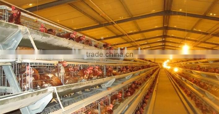 poultry farm equipment used in chicken house