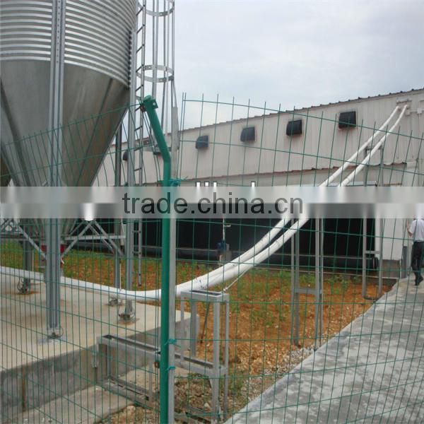 China Professional High Quality Layer Egg Chicken House
