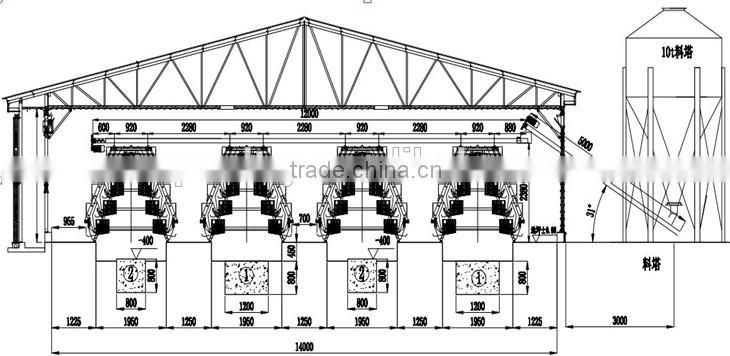 CHICKEN CAGES A TYPE RAISING EQUIPEMENT