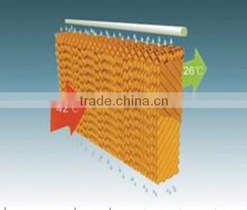 CHICKEN CAGES A TYPE RAISING EQUIPEMENT