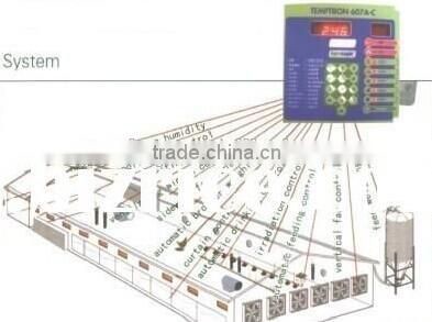 Professional automatic cheap farm equipment for chickens