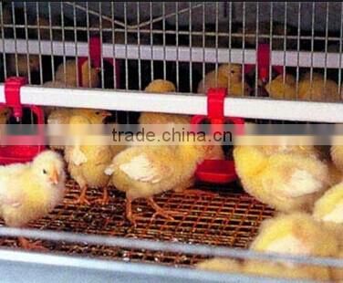 Hot sale chicken wire cage with equipment