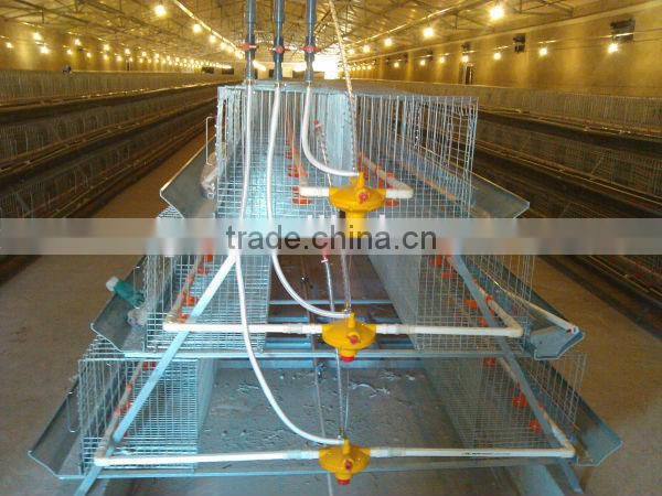 China Professional High Quality Layer Egg Chicken House