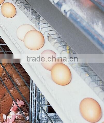 CHICKEN CAGES A TYPE RAISING EQUIPEMENT