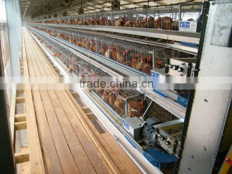 QDXR-4A-4-128T plan A type automatic chicken layer egg collecting system