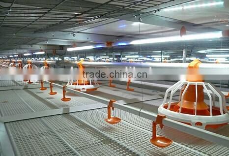 CHICKEN CAGES A TYPE RAISING EQUIPEMENT