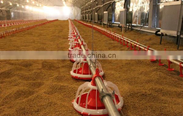 steel structure chicken house