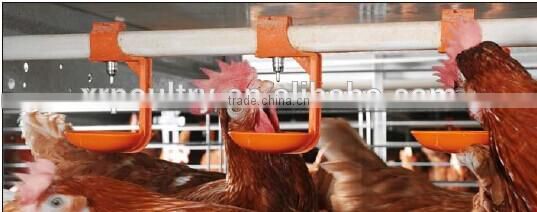 CHICKEN CAGES A TYPE RAISING EQUIPEMENT