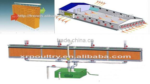 Xinri design automatic poultry farming equmipment for sale