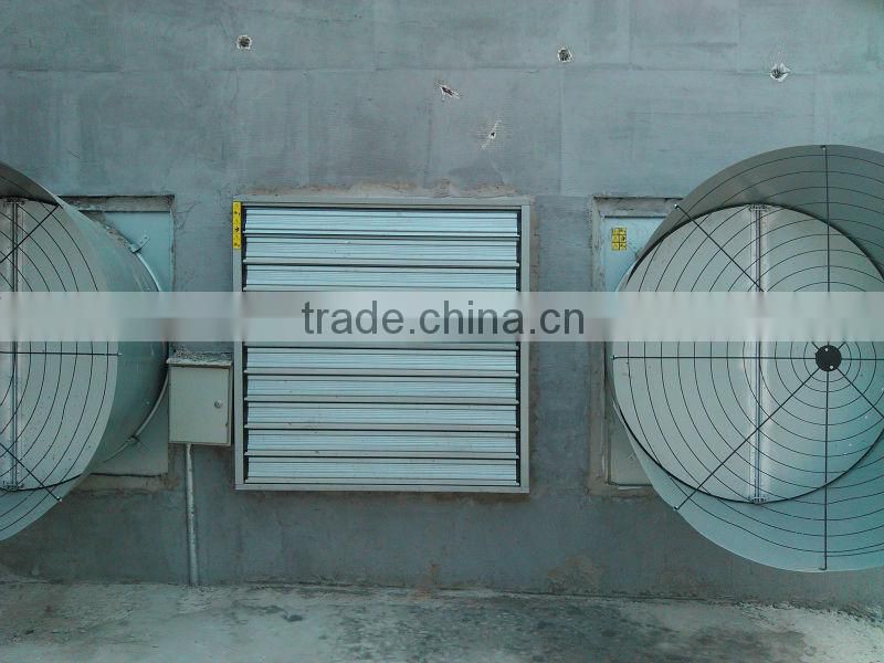 Professional automatic cheap farm equipment for chickens