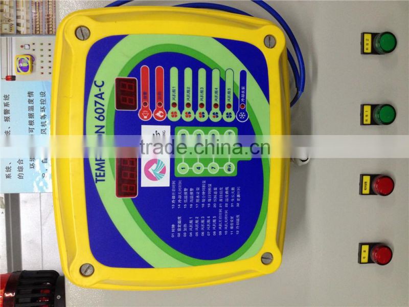 steel structure chicken house