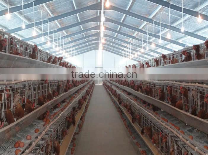 New Design chicken layer cage for Nigeria Farm