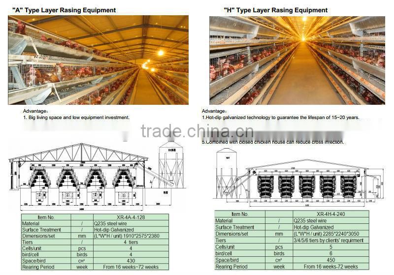 China Professional High Quality Layer Egg Chicken House