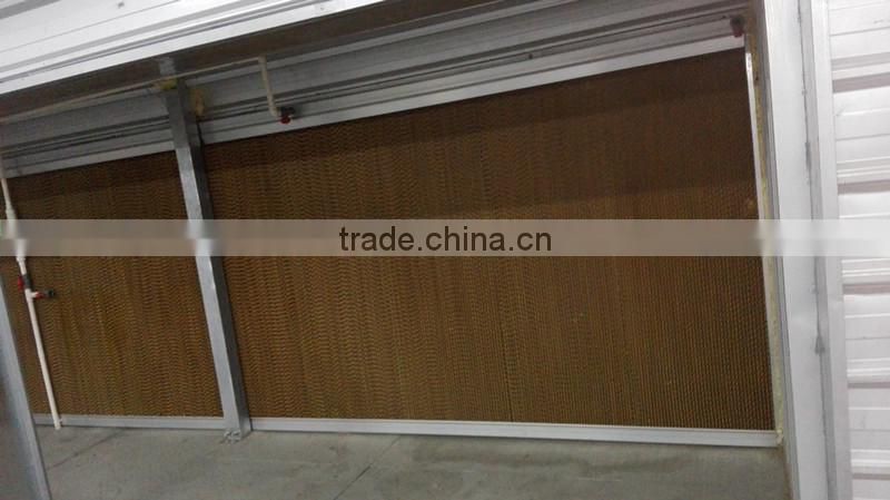 steel structure chicken house