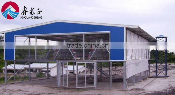 QDXR-4A-4-128T plan A type automatic chicken layer egg collecting system