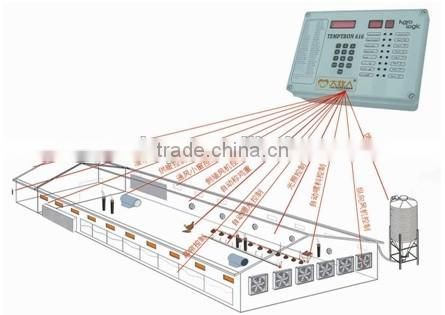 Xinri design automatic poultry farming equmipment for sale