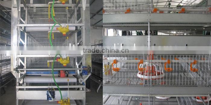 layer egg chicken cage/poultry farm house design