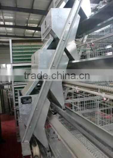 Hot sale chicken wire cage with equipment